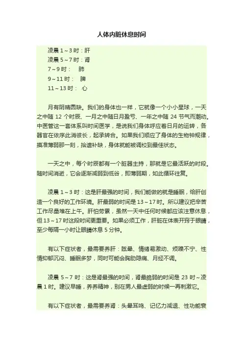 人体内脏休息时间