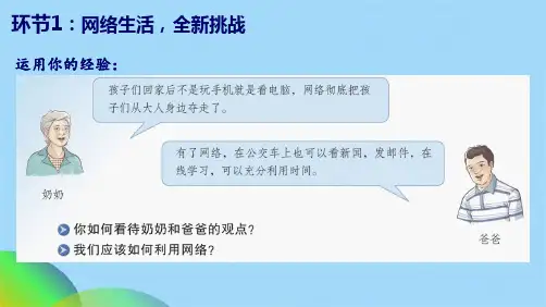 优选合理利用网络ppt(共25张PPT)