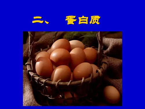 营养学基础营养-蛋白质