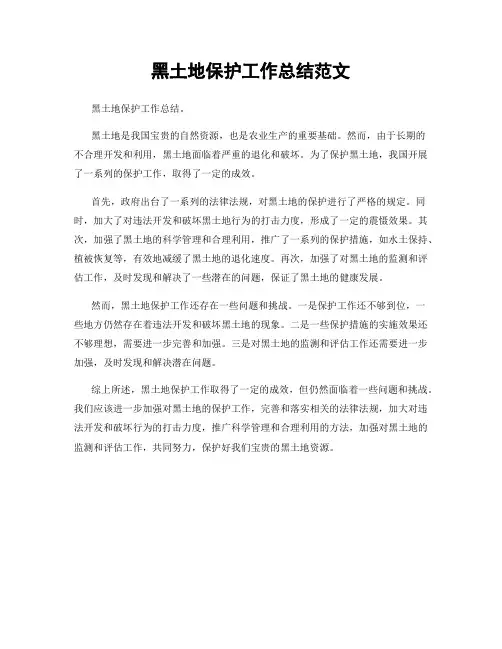 黑土地保护工作总结范文