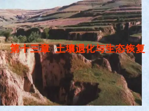 土壤退化与生态恢复