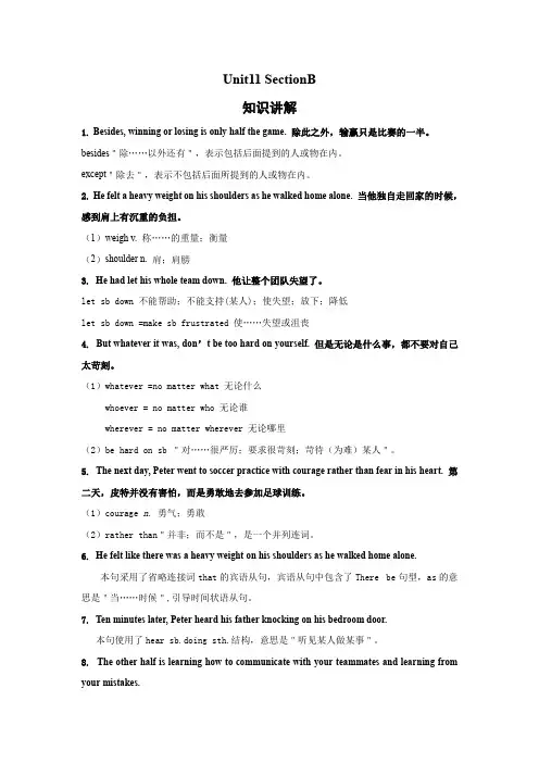人教版九年级全册英语Unit11 SectionB  知识讲解+专题练习学案(含答案)