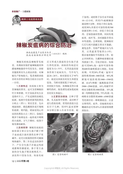 魏博士说蔬菜病虫害 辣椒炭疽病的综合防治