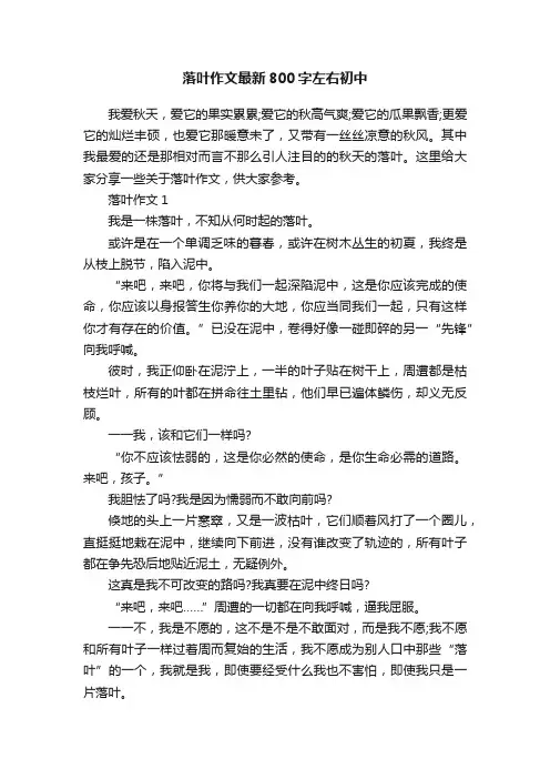 落叶作文最新800字左右初中