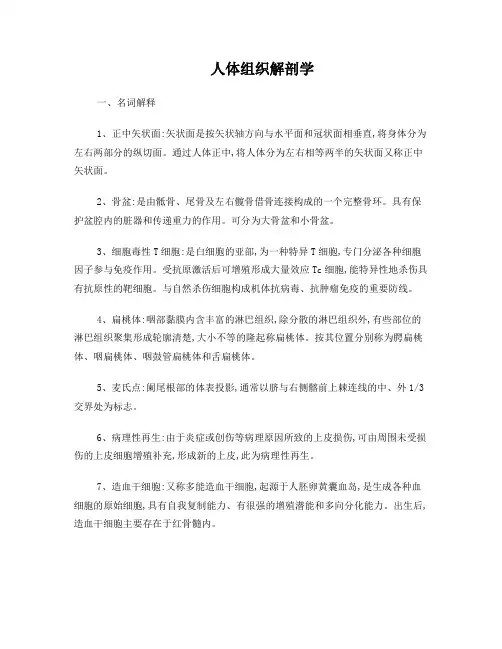 人体组织学解剖学