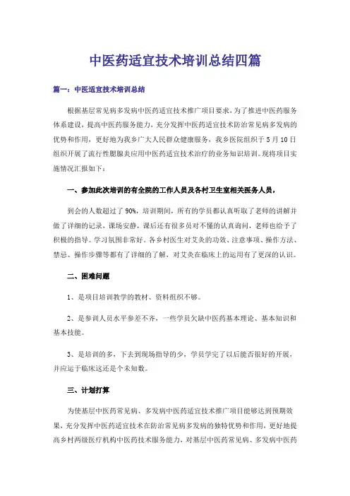 实用文_中医药适宜技术培训总结四篇
