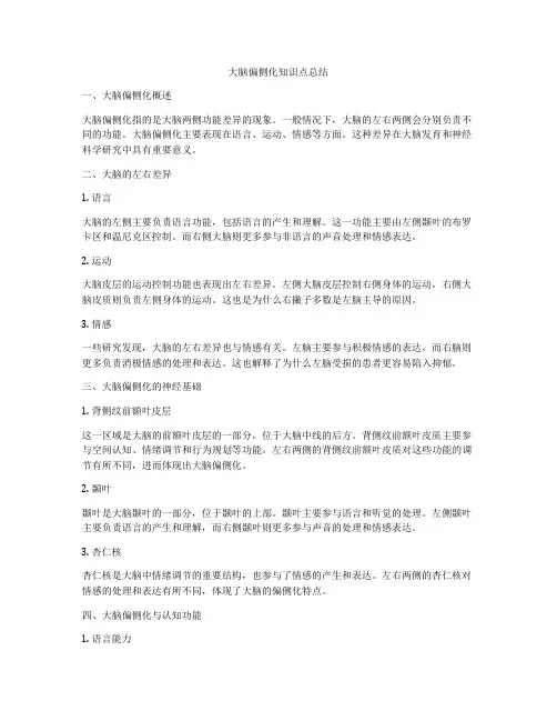 大脑偏侧化知识点总结