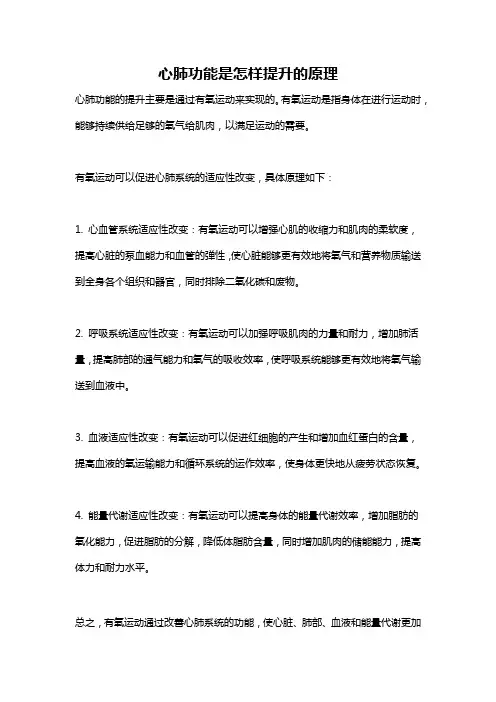 心肺功能是怎样提升的原理