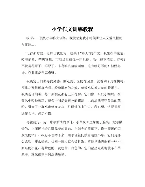 小学作文训练教程