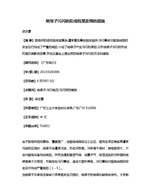 绝缘子污闪的形成机理及预防措施