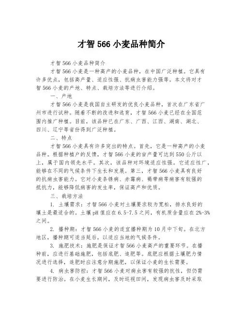才智566小麦品种简介