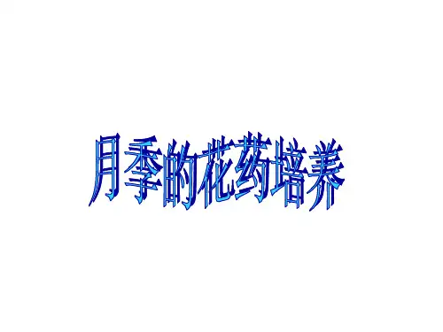 高二生物月季的花药培养分析