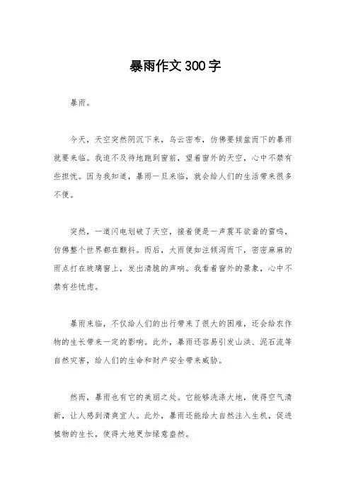 暴雨作文300字
