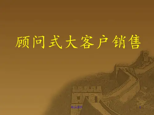 顾问式大客户销售技巧ppt课件