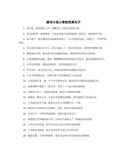 描写小花小草的优美句子