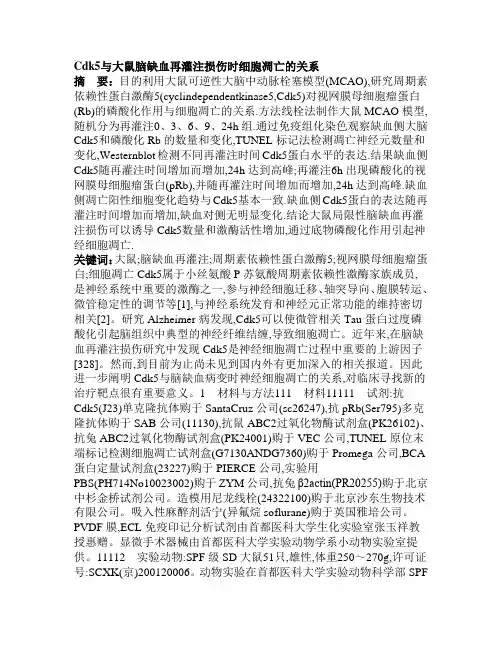 5,cdk5与缺血性损伤