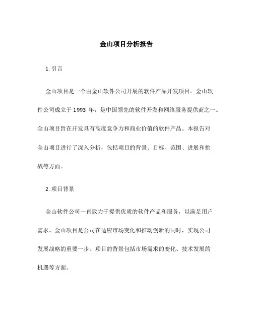 金山项目分析报告