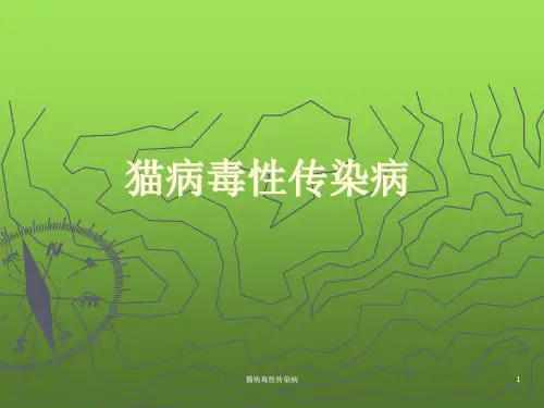 猫病毒性传染病
