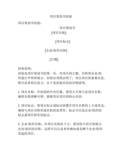 项目策划书封面