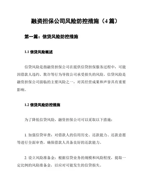 融资担保公司风险防控措施(4篇)