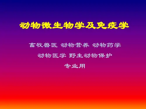 动物微生物学及免疫学.pptx