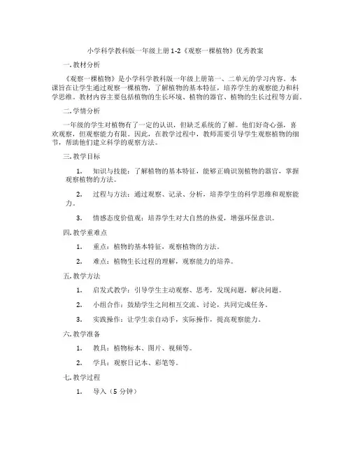 小学科学教科版一年级上册1-2《观察一棵植物》优秀教案