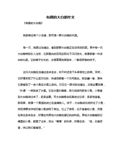 有趣的大白鹅作文