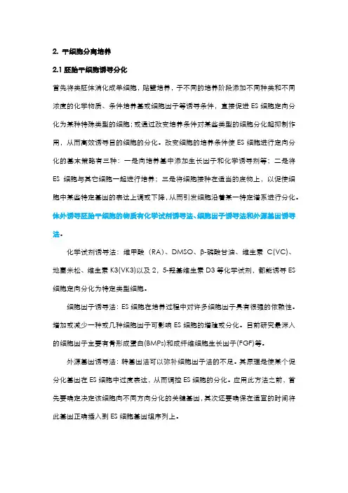 干细胞分离培养