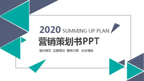 快消品市场营销方案PPT
