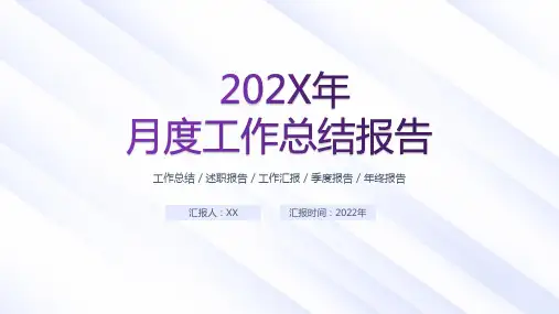 工作总结汇报模板 (15)