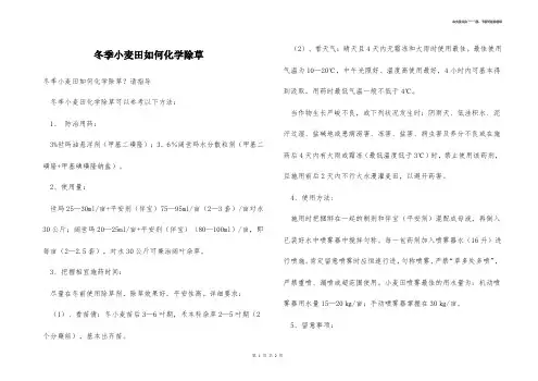 冬季小麦田如何化学除草 