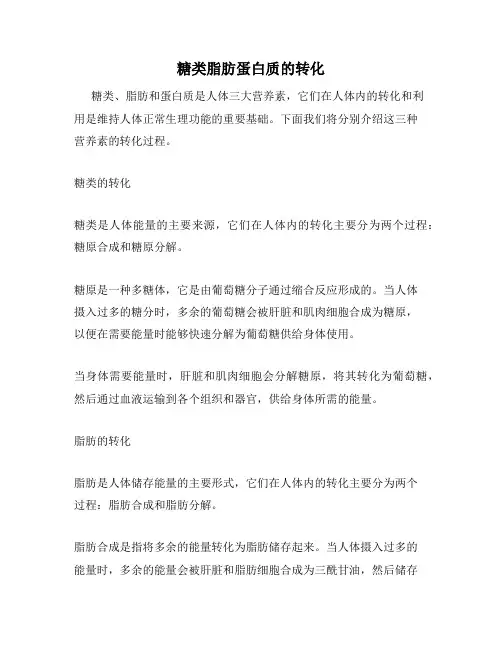 糖类脂肪蛋白质的转化