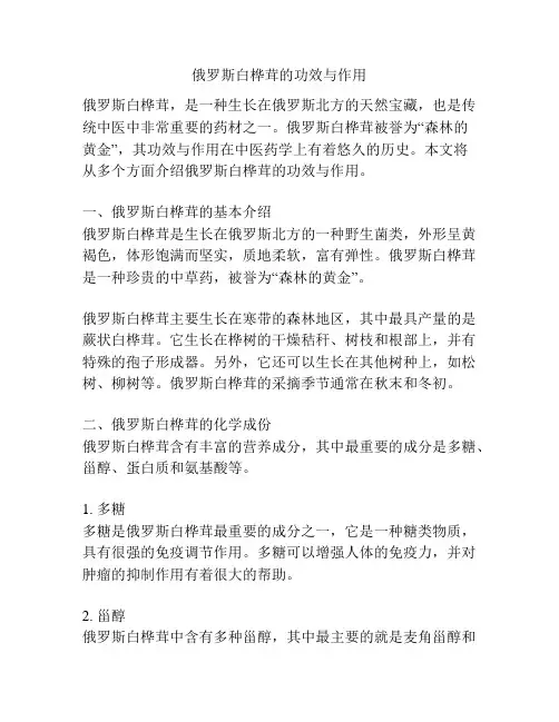 俄罗斯白桦茸的功效与作用