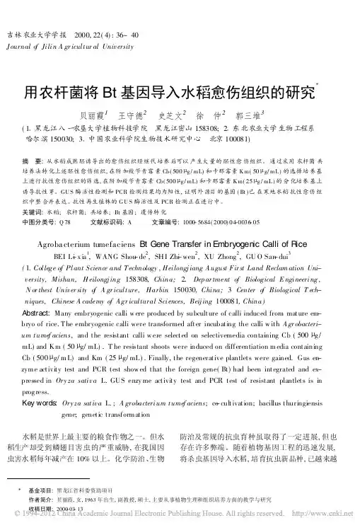 用农杆菌将Bt基因导入水稻愈伤组织的研究