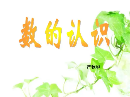 人教版六年级数学下册《数的认识》课件