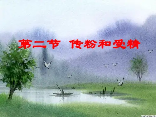 传粉与受精PPT课件