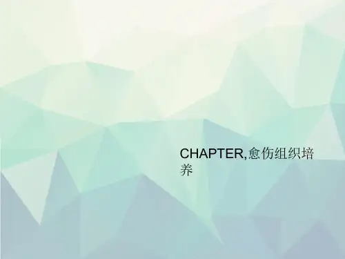 CHAPTER,愈伤组织培养