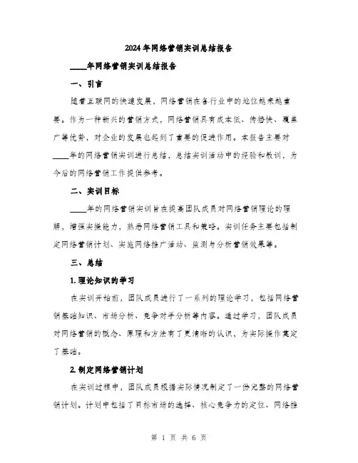 2024年网络营销实训总结报告（2篇）