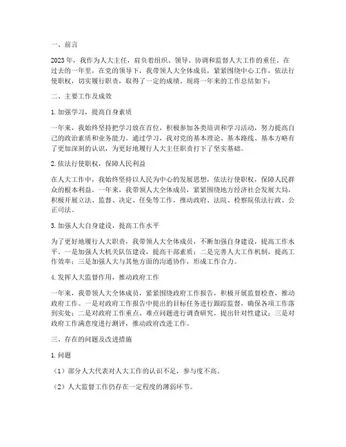 人大主任专项工作总结报告
