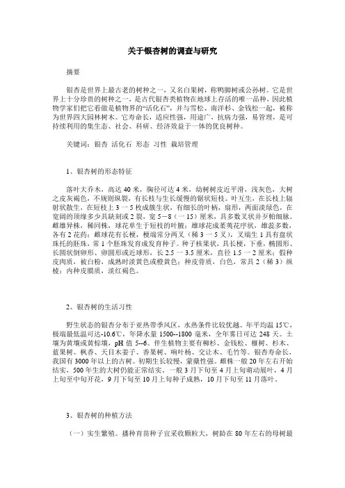 关于银杏树的调查与研究