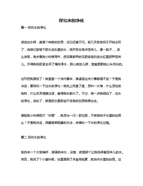 作文《探究水的净化》