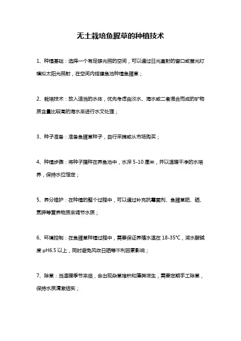 无土栽培鱼腥草的种植技术