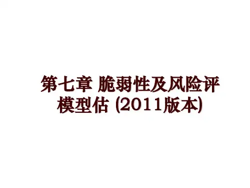 第七章 脆弱性及风险评模型估 (版本)