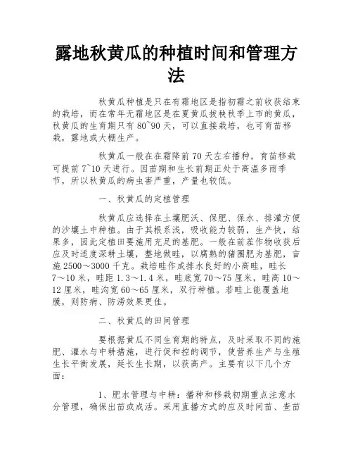 露地秋黄瓜的种植时间和管理方法