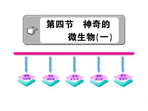 《神奇的微生物(一)》(苏教版八年级下)精品