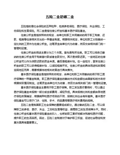五险二金是哪二金