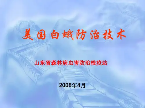 美国白蛾的防治