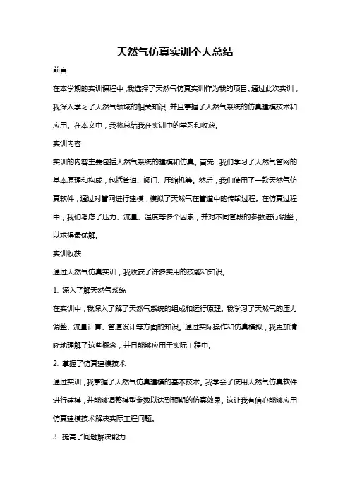 天然气仿真实训个人总结