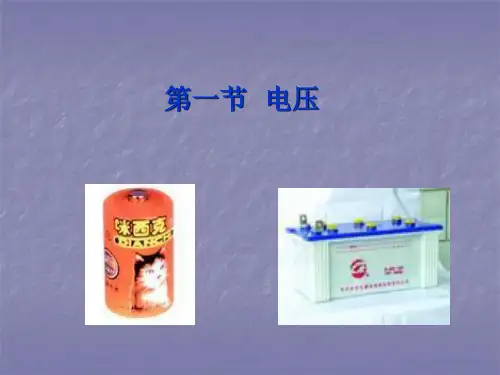 电压(物理课件)(25)