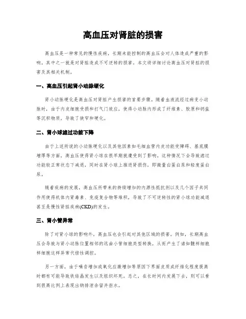 高血压对肾脏的损害